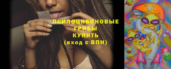 дживик Алзамай