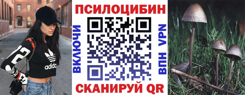 МЕГА маркетплейс  Жуковка  Галлюциногенные грибы Psilocybine cubensis 